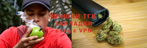 индика Куйбышев