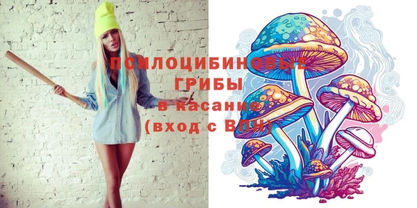 амф Кулебаки