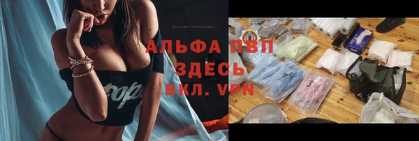 амф Кулебаки