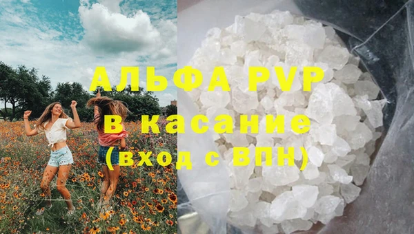 индика Куйбышев