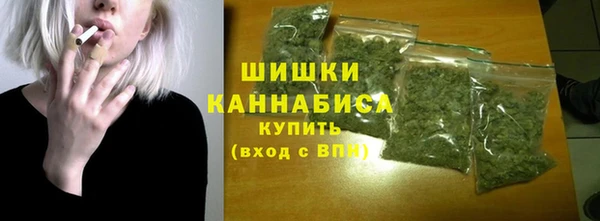 индика Куйбышев
