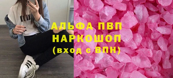 индика Куйбышев