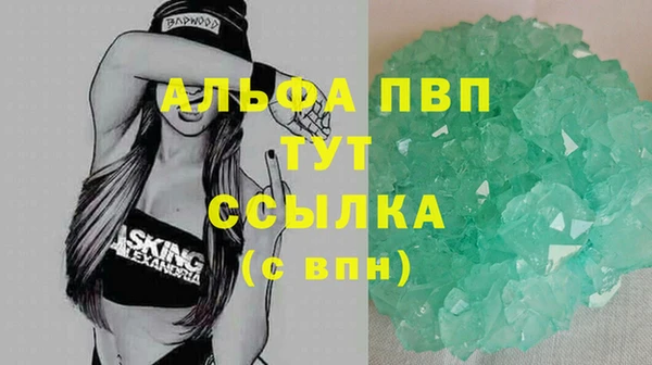 индика Куйбышев