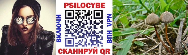 Псилоцибиновые грибы Magic Shrooms  Купить  Реж 